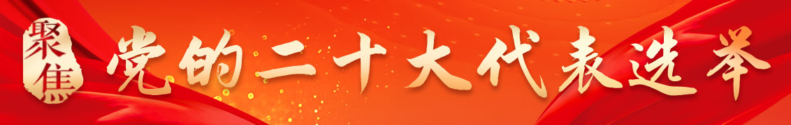 聚焦党的二十大代表选举